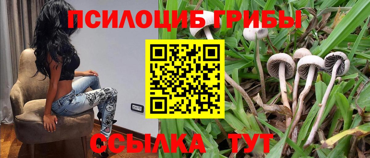 Белая Калитва  Псилоцибиновые грибы Psilocybe  сколько стоит  Вход с VPN 
